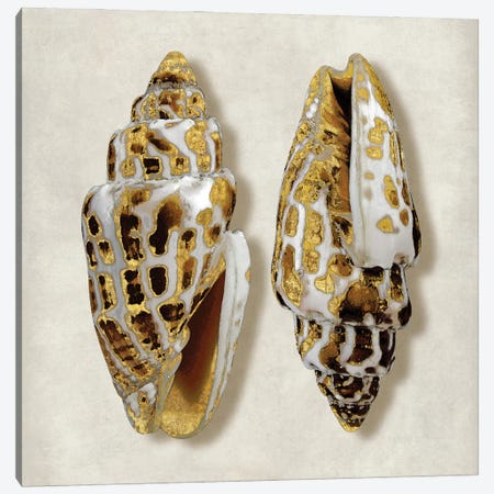 Golden Ocean Gems On Ivory I Canvas Print #KEL15} by Caroline Kelly Canvas Art