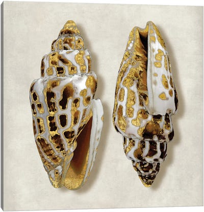 Golden Ocean Gems On Ivory I Canvas Art Print - Caroline Kelly