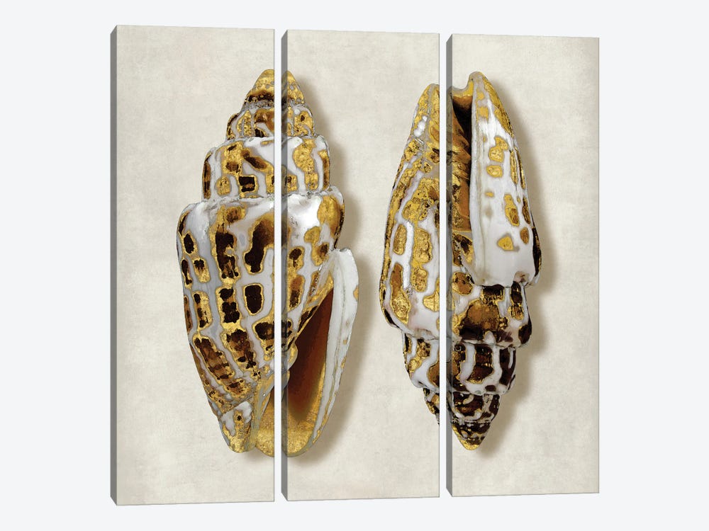 Golden Ocean Gems On Ivory I by Caroline Kelly 3-piece Canvas Art