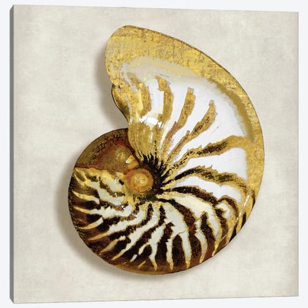 Golden Ocean Gems On Ivory II Canvas Print #KEL16} by Caroline Kelly Canvas Wall Art