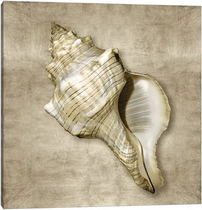 Golden Sea Life III Canvas Art Print - Sea Shell Art