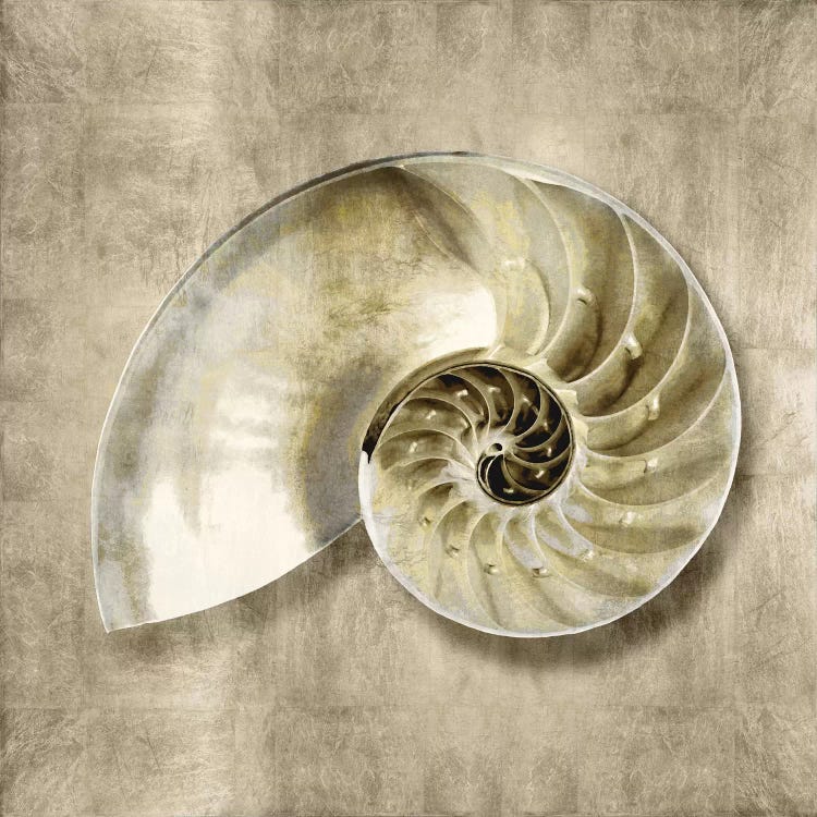 Golden Sea Life IV by Caroline Kelly wall art