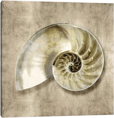 Golden Sea Life IV Canvas Art Print - Sea Shell Art