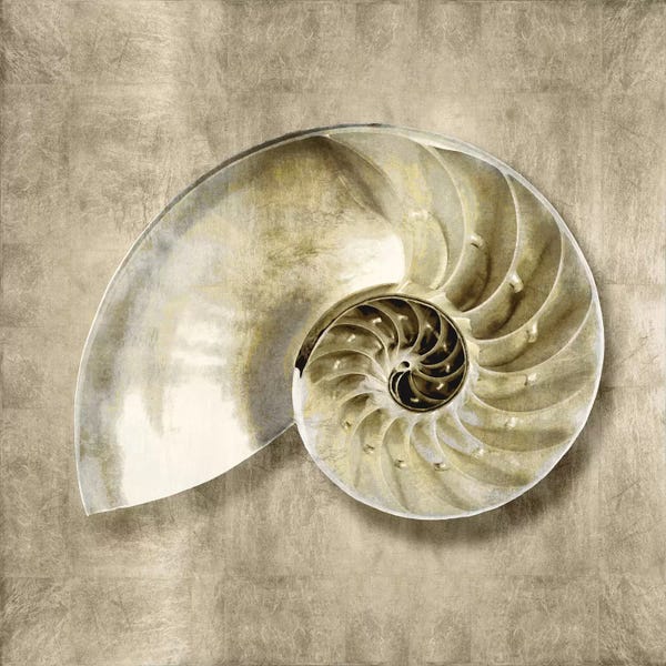 Caroline Kelly: Golden Sea Life IV by Caroline Kelly