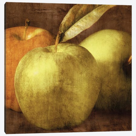 Apples Canvas Print #KEL2} by Caroline Kelly Canvas Print