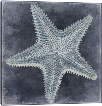 Ocean Blue I Canvas Art Print - Starfish Art
