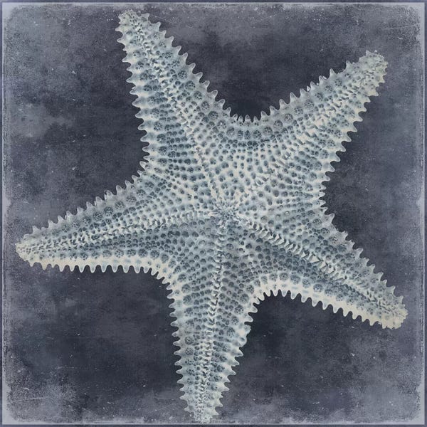 Caroline Kelly: Ocean Blue I by Caroline Kelly