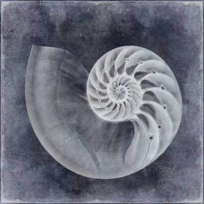 Ocean Blue IV by Caroline Kelly art print