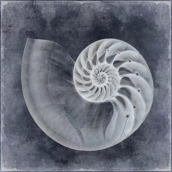 Caroline Kelly: Ocean Blue IV by Caroline Kelly