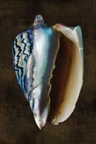 Caroline Kelly: Ocean Treasure I by Caroline Kelly