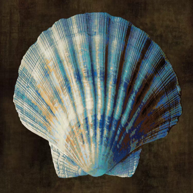 Ocean Treasure II by Caroline Kelly wall art