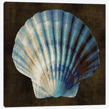 Ocean Treasure II Canvas Print #KEL35} by Caroline Kelly Canvas Art