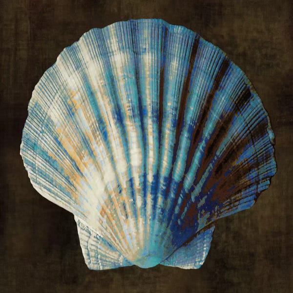 Caroline Kelly: Ocean Treasure II by Caroline Kelly