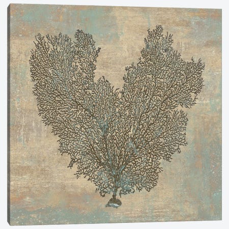 Aqua Fan Coral Canvas Print #KEL3} by Caroline Kelly Canvas Print