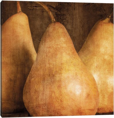 Pears Canvas Art Print