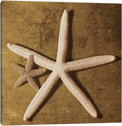 Starfish Canvas Art Print