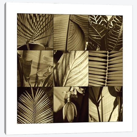 Tropical Leaves I Canvas Print #KEL48} by Caroline Kelly Canvas Artwork