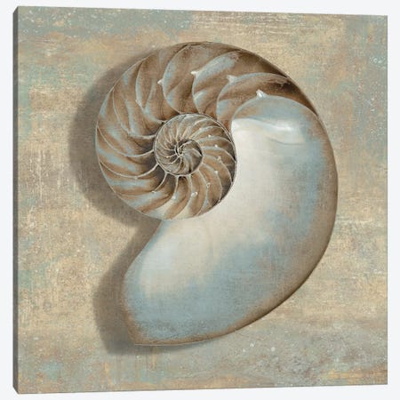 Aqua Nautilus Canvas Print #KEL4} by Caroline Kelly Canvas Artwork