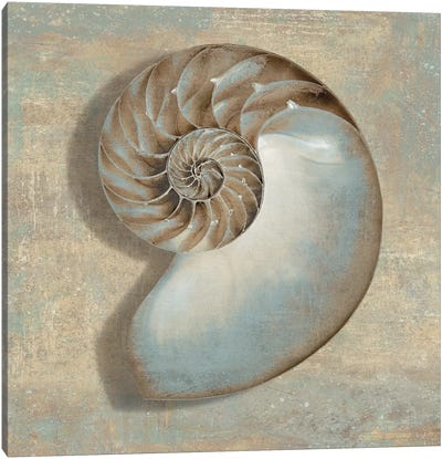 Aqua Nautilus Canvas Art Print - Sea Shell Art