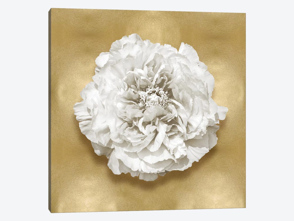 Flower On Gold II by Caroline Kelly 1-piece Canvas Art