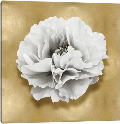 Flower On Gold III Canvas Art Print - Home Staging Bathroom