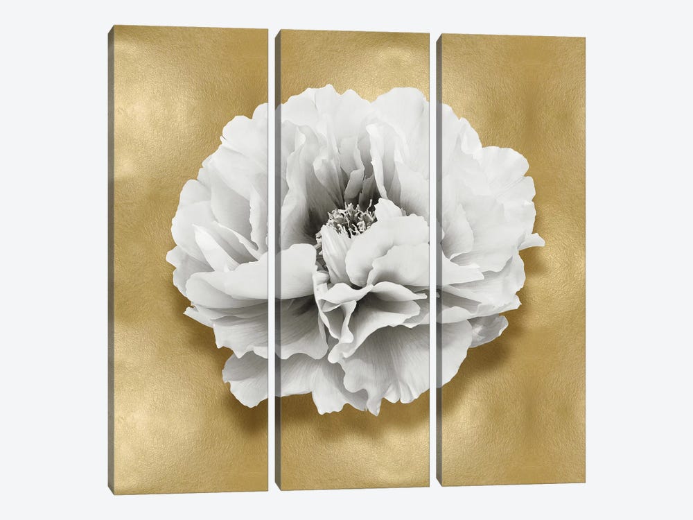 Flower On Gold III by Caroline Kelly 3-piece Art Print