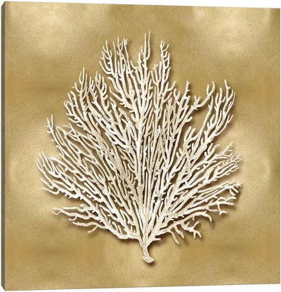Sea Fan On Gold I Canvas Art Print - Coral Art