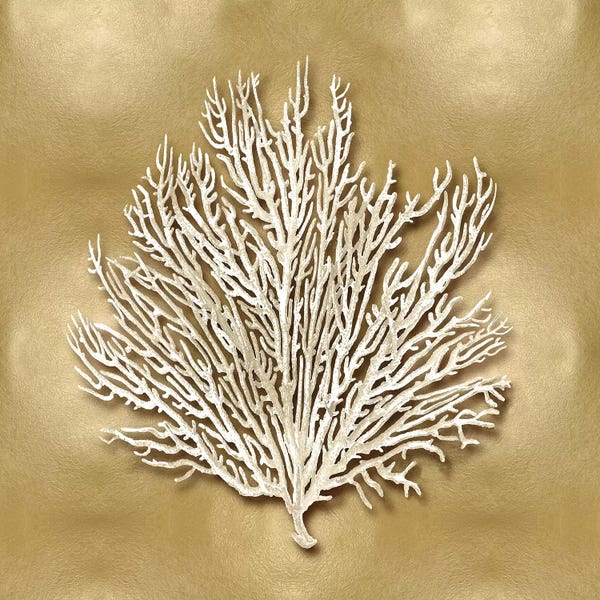 Caroline Kelly: Sea Fan On Gold I by Caroline Kelly
