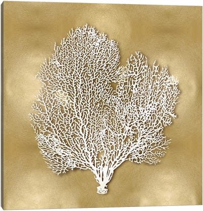 Sea Fan On Gold II Canvas Art Print - Home Staging Bathroom