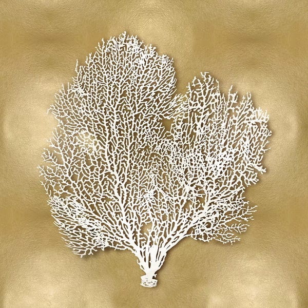 Caroline Kelly: Sea Fan On Gold II by Caroline Kelly