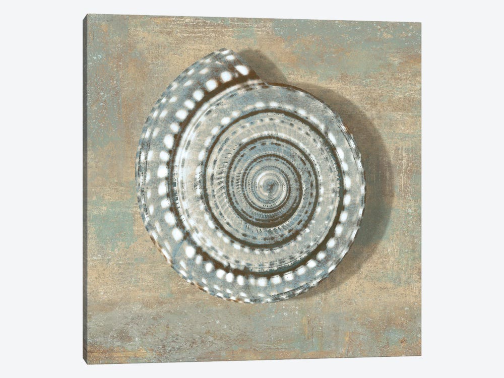 Aqua Seashell 1-piece Canvas Print