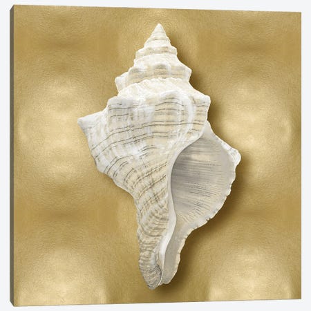 Shell On Gold I Canvas Print #KEL60} by Caroline Kelly Canvas Artwork