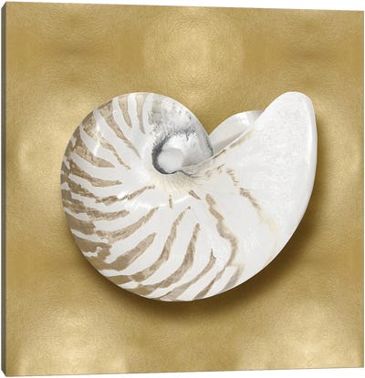 Shell On Gold III Canvas Art Print - White & Gold