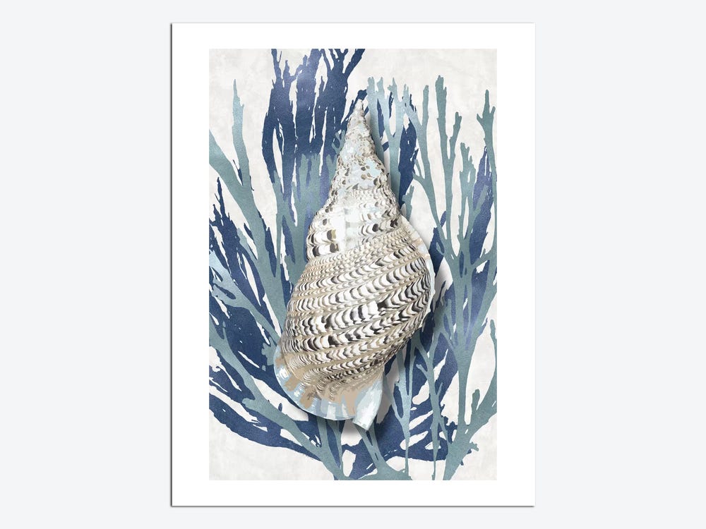 Shell Coral Aqua Blue I Canvas Print by Caroline Kelly