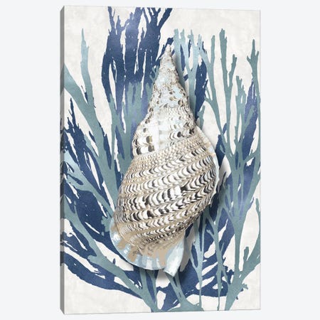 Shell Coral Aqua Blue I Canvas Print #KEL66} by Caroline Kelly Canvas Art Print