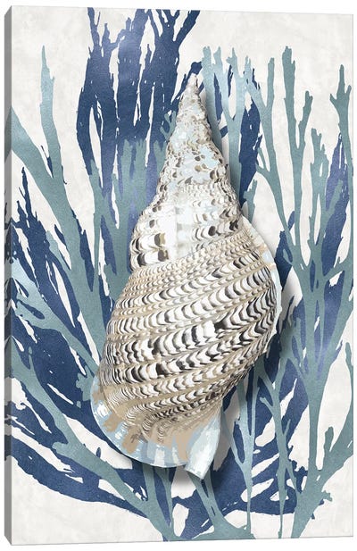 Shell Coral Aqua Blue I Canvas Art Print - Beach Décor