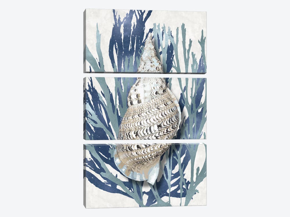 Shell Coral Aqua Blue I 3-piece Canvas Wall Art