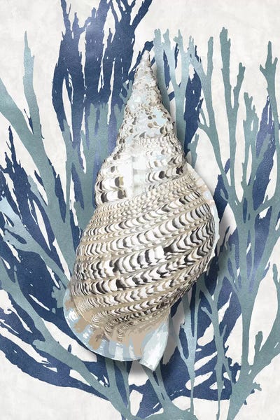 Sea Life: Shell Coral Aqua Blue I by Caroline Kelly