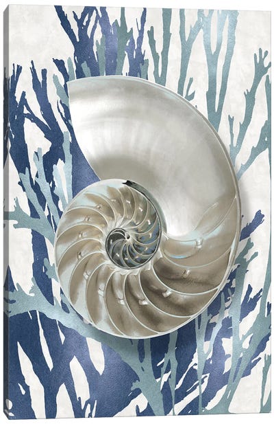 Shell Coral Aqua Blue II Canvas Art Print - Beach Décor