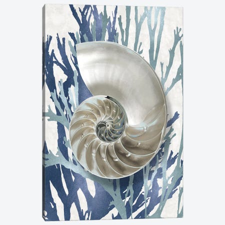 Shell Coral Aqua Blue II Canvas Print #KEL67} by Caroline Kelly Canvas Print