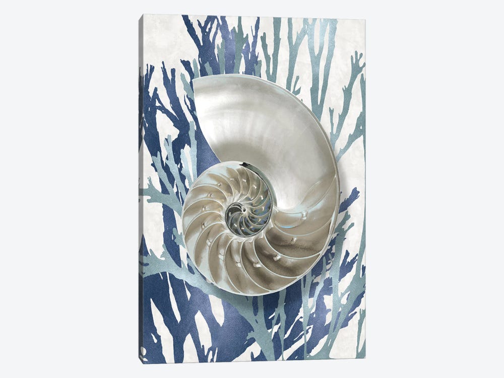 Shell Coral Aqua Blue II by Caroline Kelly 1-piece Canvas Art Print