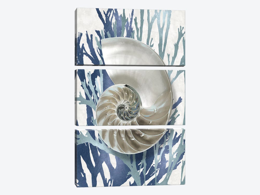 Shell Coral Aqua Blue II 3-piece Canvas Print