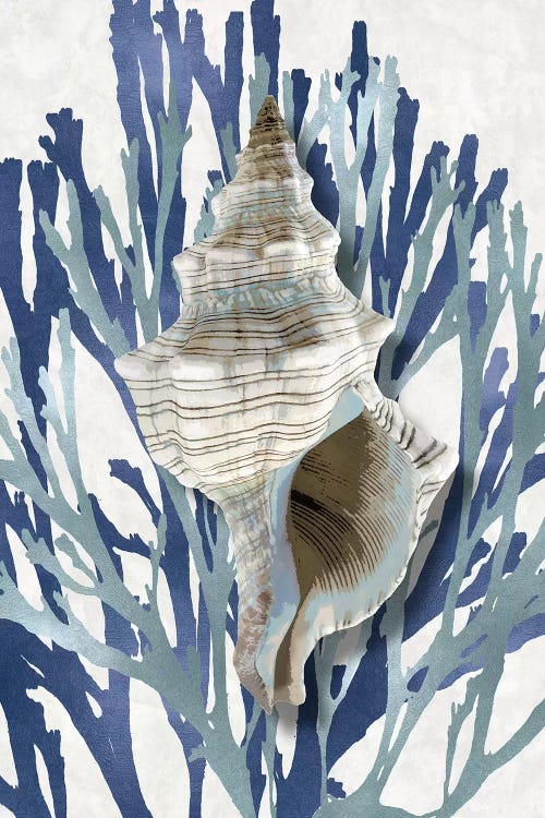 Shell Coral Aqua Blue III by Caroline Kelly wall art