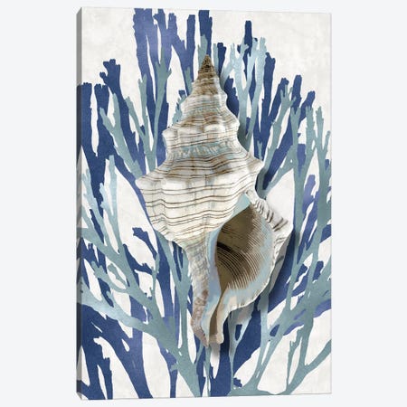 Shell Coral Aqua Blue III Canvas Print #KEL68} by Caroline Kelly Canvas Wall Art