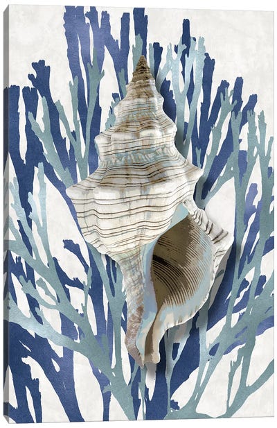 Shell Coral Aqua Blue III Canvas Art Print - Caroline Kelly