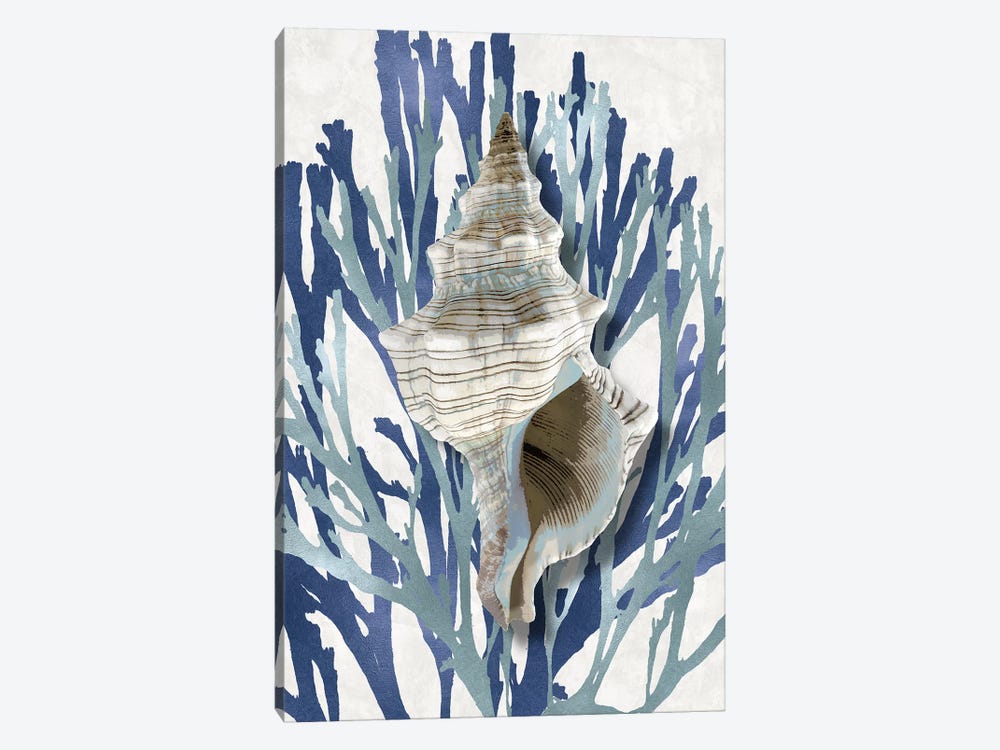 Shell Coral Aqua Blue III by Caroline Kelly 1-piece Canvas Wall Art