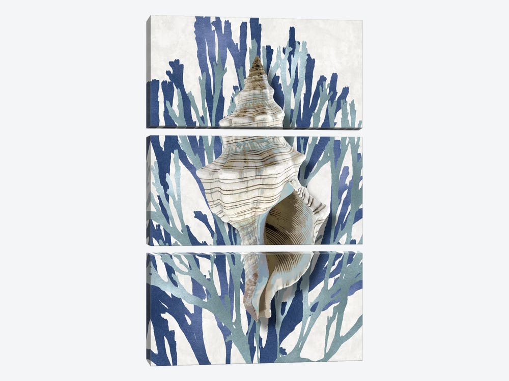 Shell Coral Aqua Blue III by Caroline Kelly 3-piece Canvas Wall Art