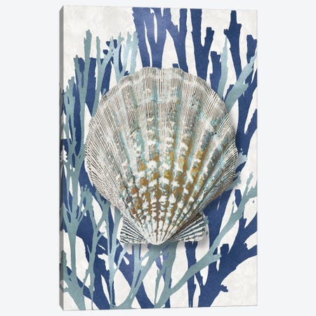 Shell Coral Aqua Blue IV Canvas Print #KEL69} by Caroline Kelly Canvas Art