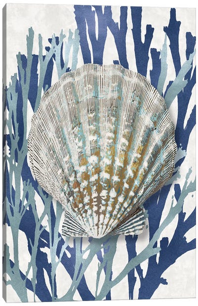 Shell Coral Aqua Blue IV Canvas Art Print - Sea Shell Art