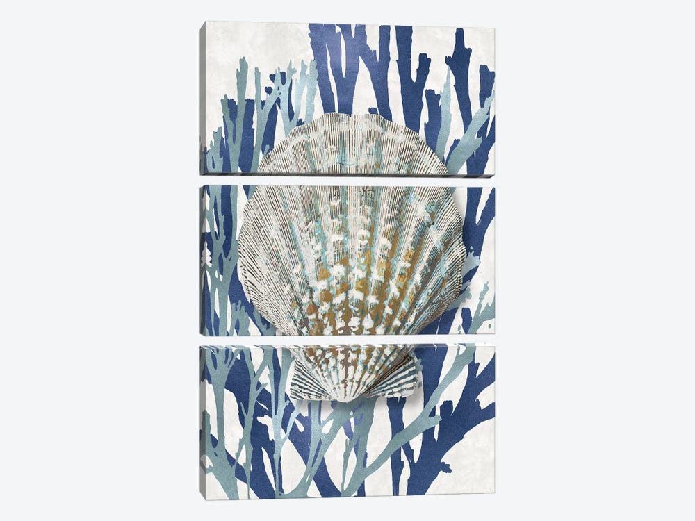 Shell Coral Aqua Blue IV by Caroline Kelly 3-piece Canvas Art Print